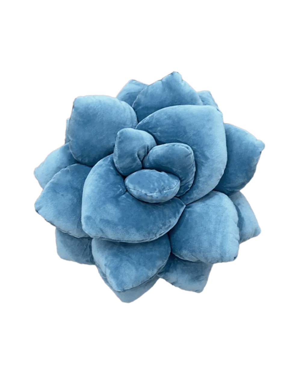Lil' Pop Succulent® - Smokey Blue