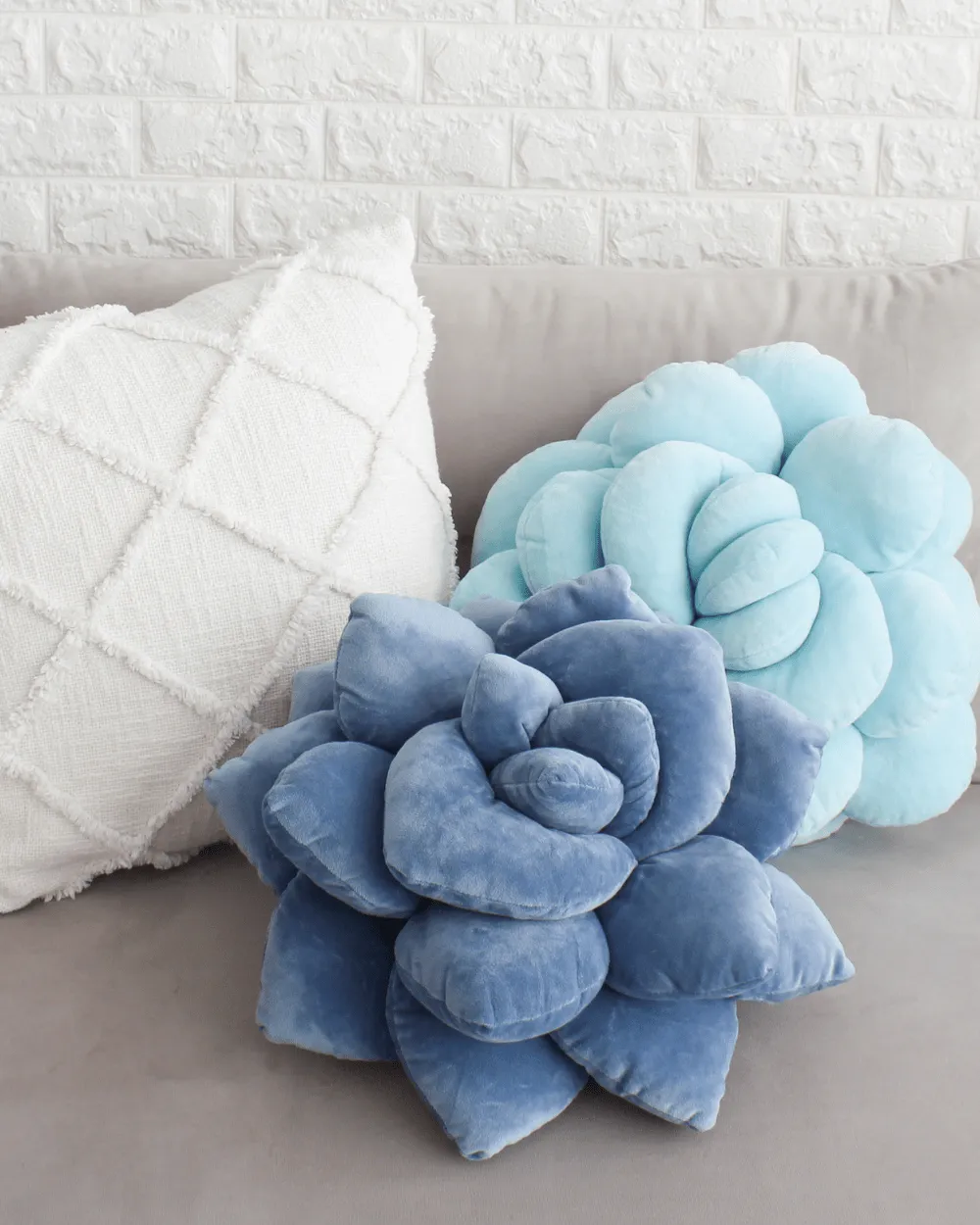 Lil' Pop Succulent® - Smokey Blue
