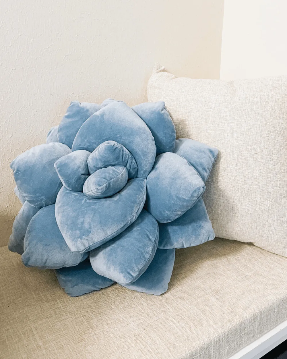 Lil' Pop Succulent® - Smokey Blue